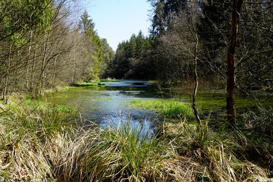 geflutete Eisenbahnstrecke im Eggegebirge