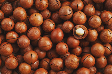 Texture of organic macadamia nut fresh natural fruit shelled one nut - vintage filter