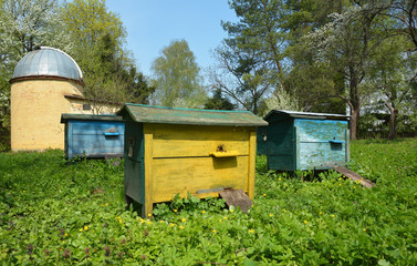 Beekeeping concept with bees, beehives and observatory.  Noosphere concept.
