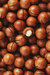 Texture of organic macadamia nut fresh natural fruit shelled one nut - vintage filter
