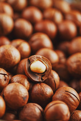 Texture of organic macadamia nut fresh natural fruit shelled one nut - vintage filter