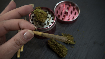 The person hold in the hand marijuana joint. Marijuana buds and grinder on the background