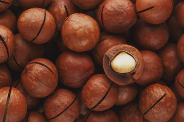 Texture of organic macadamia nut fresh natural fruit shelled one nut - vintage filter