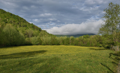 Naklejka premium 