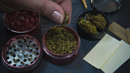 Marijuana weed in the females hand. Marijuana buds in the grinder.