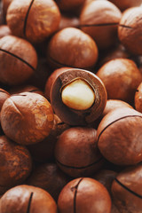 Texture of organic macadamia nut fresh natural fruit shelled one nut - vintage filter