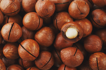Texture of organic macadamia nut fresh natural fruit shelled one nut - vintage filter