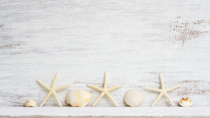 Sea shells and starfish on grunge white wooden background. Abstract background concept for Summer...