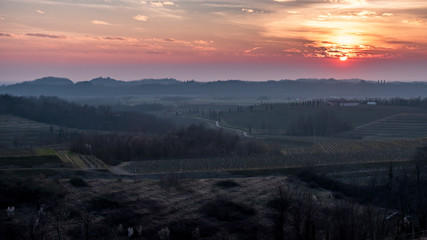 Spring sunset in the vineyards of Collio Friulano