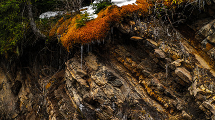 Close up view of rocks with trees, moss and snow.