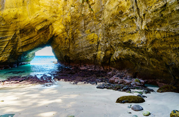 [静岡県] 南伊豆の自然　竜宮窟