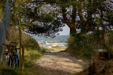 Blick wie durch einen Tunnel im Wald auf den dahinter liegenden Strand und das Meer mit zwei Fahrrädern an der Seite