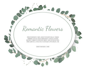 Eucalyptus silver dollar green branches leaves foliage, border, frame.