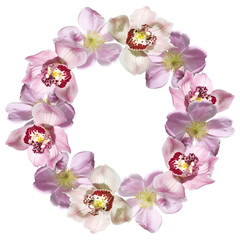 Fototapeta na wymiar Beautiful flower circle of rosehip and orchids. Isolated 