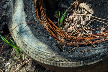 Old used dirty and burnt rubber. A rusty metal frame is visible from a car rubber tire. Dump old tires in nature. Tires on the ground after the fire.