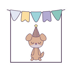 cute dog animal with garlands and hat party