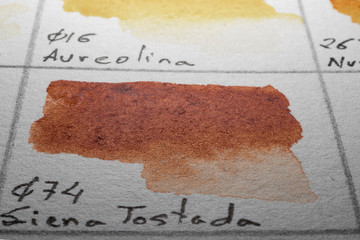 Siena toast. Watercolor color chart
