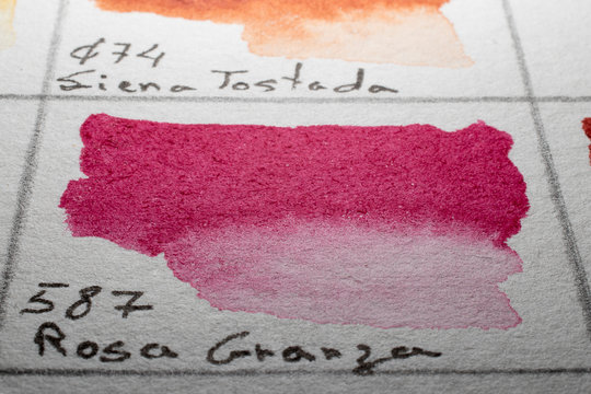 Pink ganza. Watercolor color chart