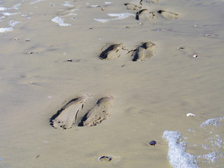 traces in the sand