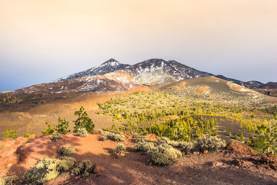 Parc National Del Teide. Tenerife island. Spain.