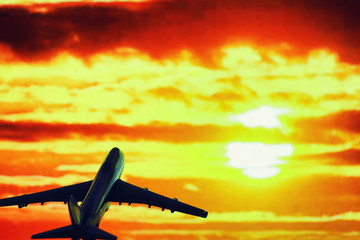 The plane flies in the sky above the clouds.
