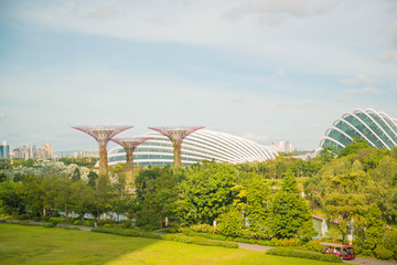 Gardens by the bay in Singapore.