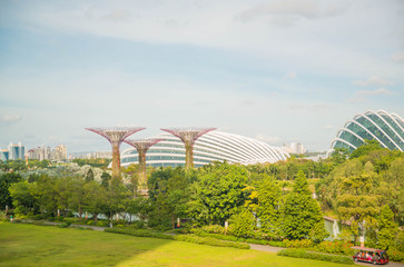 Gardens by the bay in Singapore.