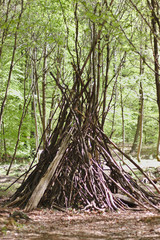Wooden tent in the forest