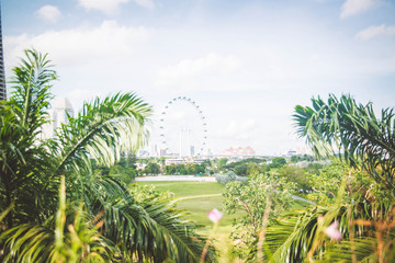 Fototapeta na wymiar Gardens by the bay in Singapore.