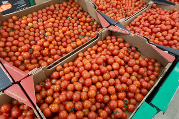 Red cherry tomatoes background, close up. Small tomatoes