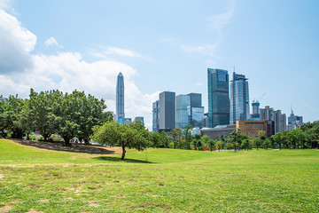 Fototapeta premium The large grassland of Shenzhen Lianhuashan Park and the CBD building of Futian District