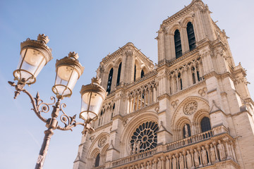 Fototapeta na wymiar facade of notre dame de Paris, medieval cathedral (church) in paris, france.