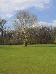 Landscape from dendrology park Sofiyivka (Uman city, Ukraine)