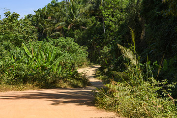 Stunning view of a dirty road surrounded by rich and green vegetation. Phuket, Thailand.