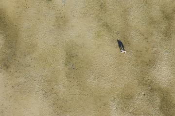 View from above, aerial view of a couple of tourists, hand in hand, walking on an expanse of sand during low tide. Phuket, Thailand.