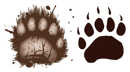 black bear paws muddy © Jonathan