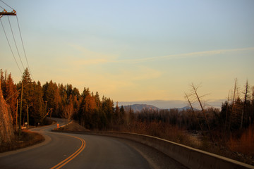 curving road in evening light