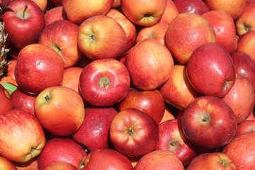 Fototapeta na wymiar Large pile of red apples