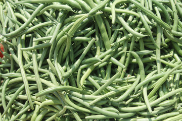 Pile of green bean pods in sunlight