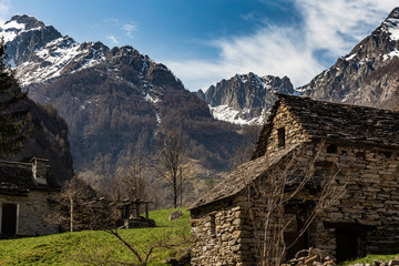 Fototapeta na wymiar Paesaggio Alpino