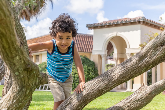 A Young Boy Looks At The Camera As He Climbs The Tree. The Happy Toddler Enjoys Climbing The Small Trees At The Community Park.