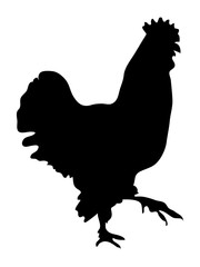 Rooster black silhouette