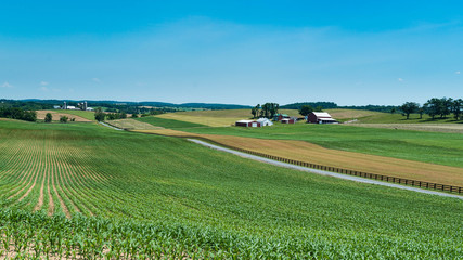 Maryland countryside in the summer