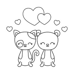 cute cat with bear and hearts love
