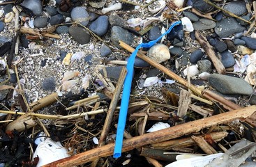 Plastic straw rubbish left behind on Mornington Beach, County Meath.