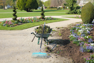 Brouette dans un jardin public-4852