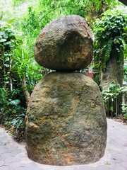stone in the garden