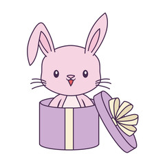 cute rabbit animal in gift box