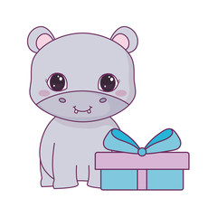 cute hippopotamus animal with gift box