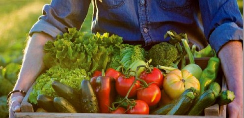 basket with various vegetables close up, healthy and tasty food